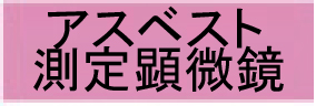 �A�X�x�X�g������