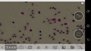 SS500-MC--02_800